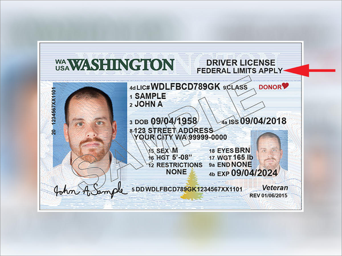 Virginia drivers license number dd